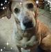 Jackie Conley - Facebook