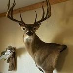 Jackie Conley - @conleyjackied - Instagram