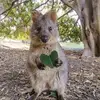 Jackie Connor - @jackie.connor4 - TikTok