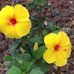 Jackie Conrad - Facebook