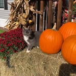 Jackie Conrad - @jackieconrad64 - Instagram