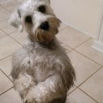 Jackie Corbin - @jackiecorbin56 - Instagram