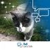 Jackie Cormier - Facebook