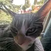 Jackie Cormier - @._esthernewsbaum1._ - TikTok