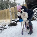 Jackie Cormier - @jackiehcormier - Instagram
