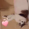 Jackie Cravens - @jackie.cravens7 - TikTok