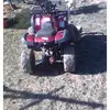 Jackie Cremeans - @jackie.cremeans - TikTok