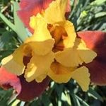 Jackie Cronin - @cronin6453 - Instagram