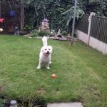 Jackie Holland Crossley - @hollandcrossley - Instagram