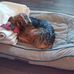 Jackie Crouch - Facebook