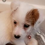Jackie Crow - @jackiec6054 - Instagram