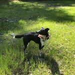 Jackie Crow - @royanehcowgirl - Instagram