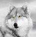 Jacki Crum - Facebook