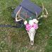 Jackie Culberson - Facebook