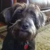 jackiecurlee6 - @jackiecurlee6 - TikTok