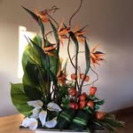 Jackie Curran - @jackiem.curran - Instagram