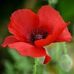 Jackie Curran - Facebook