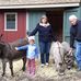 Jackie Curran - Facebook