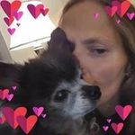 Jackie Curtin - @jackiecurtin68 - Instagram