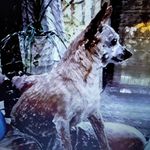 Jackie Curtin - @curtin5226 - Instagram