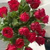 jackie curtis - @jackie.curtis38 - TikTok