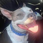Jackie Curtis - @buddyz_mama143 - Instagram