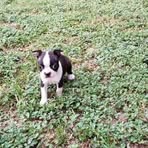 Jack Curtsinger - Facebook