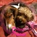 Jackie Custer - Facebook