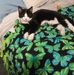 Jackie Custer - Facebook