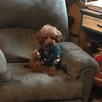 Jackie cuthbertson - @jackiecuthbertson5831 - Instagram