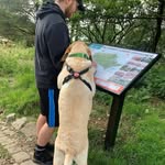 Jack Cutts - @jackcutts - Instagram