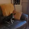 Jackie Cutts - @user350610894 - TikTok
