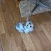 Jacalyn Wilson Czerwinski - Facebook