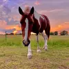 Jackie Dagg - @jacs444 - TikTok