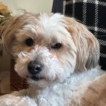 Jackie Dailey Cottrell - @jdaileycottrell - Instagram