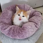 Jackie Darcy - @jackie.darcy.56 - Instagram