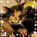 Jackie Darcy - Facebook
