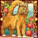 Jackie Darr - Facebook