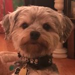 Jackie davey - @maisydavey317 - Instagram
