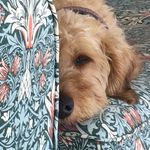 Jackie Davey - @jacquid1963 - Instagram