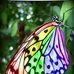 Jacqueline Davey - Facebook