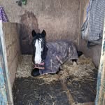 jackie Davison - @jackie_davison8 - Instagram