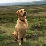 Jackie Davison - @jackiedavison2705 - Instagram