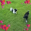 Jackie Davison - @jackie.davison - TikTok