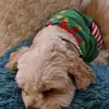 jackiedavison490 - @jackiedavison490 - TikTok