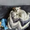 jackiedavison95 - @jackiedavison95 - TikTok