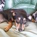 Jacqueline Dormont - Facebook