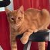 Jackie Desrosiers - Facebook