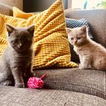 Jackie & Dickie - @jackie_dickie - Instagram