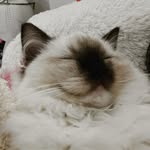 Jackie - @jackiedoesstufff - Instagram